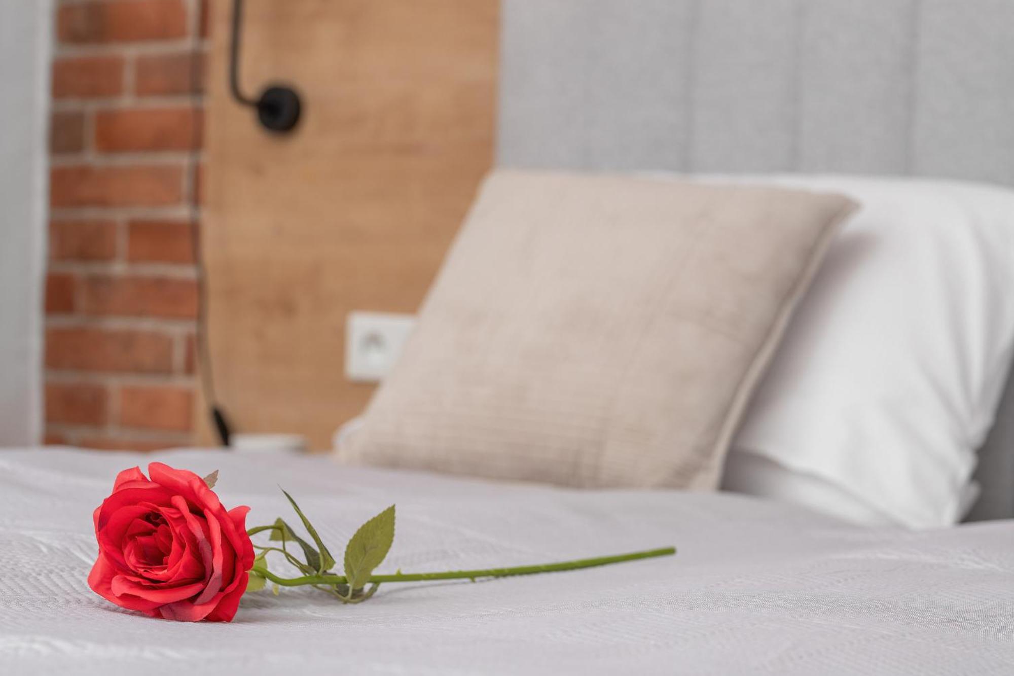 Lejlighed Elegant In With Sauna, Gym And Parking By Renters *